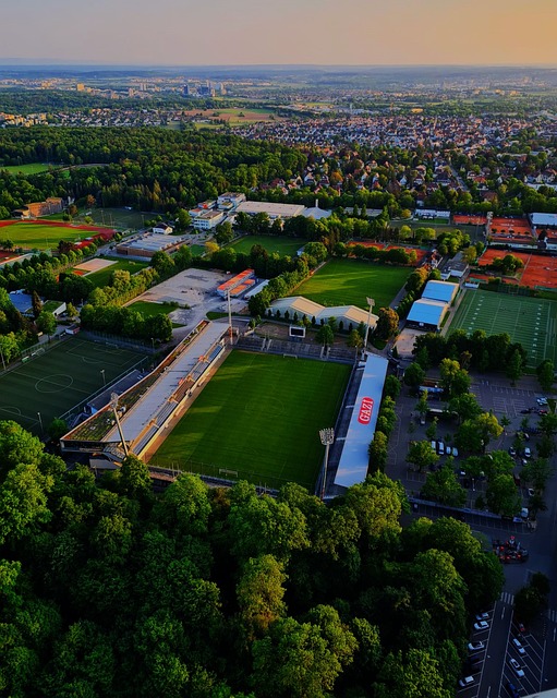 这些雕像不 这些雕像不