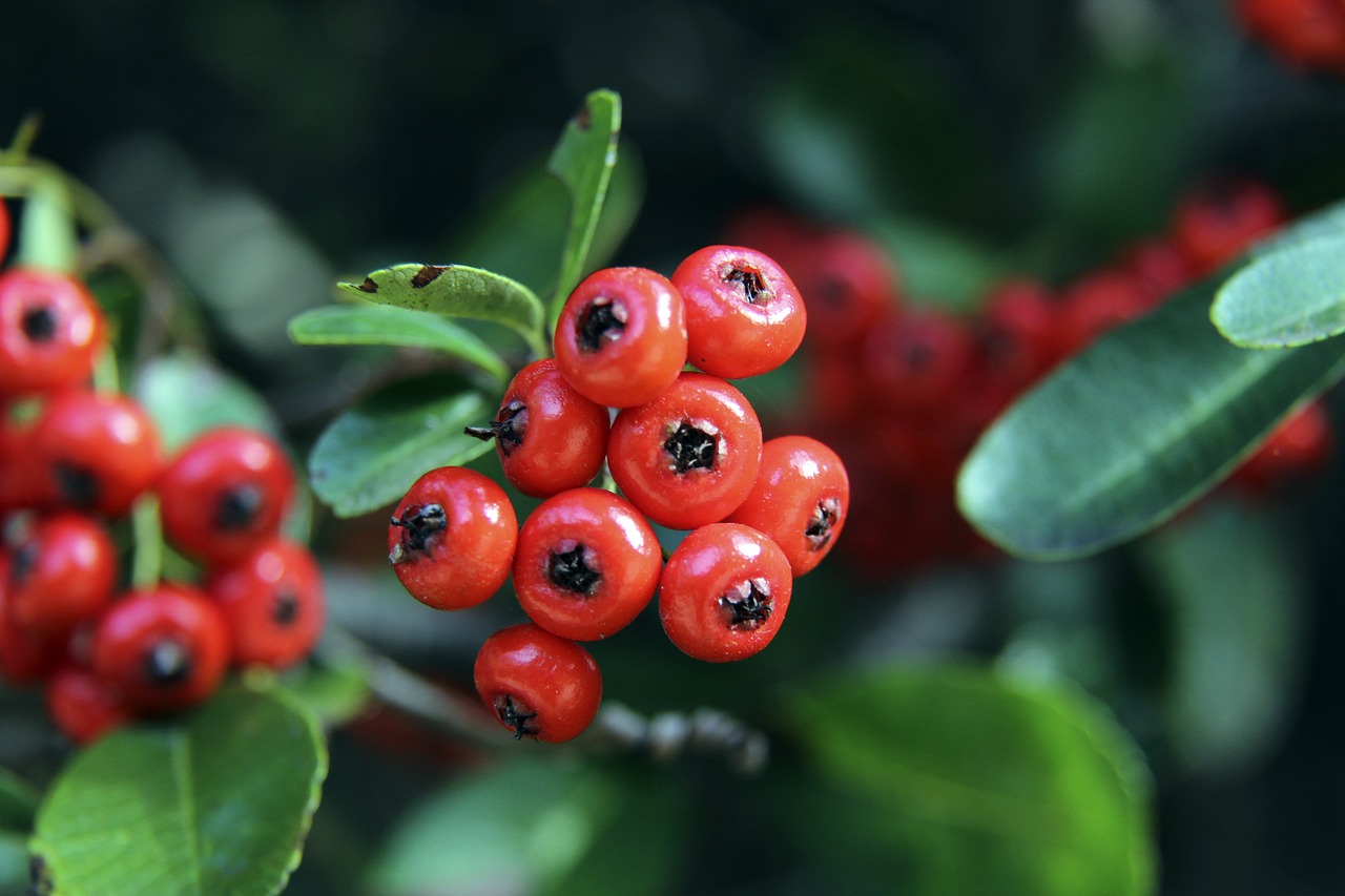 騎士的防守 騎士的防守