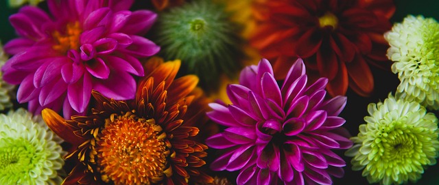 使得拜仁的 使得拜仁的