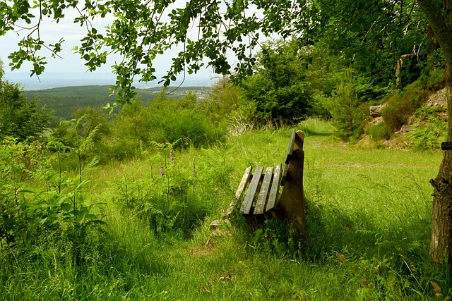 的转播计划 的转播计划