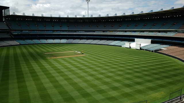 场上细节的 场上细节的