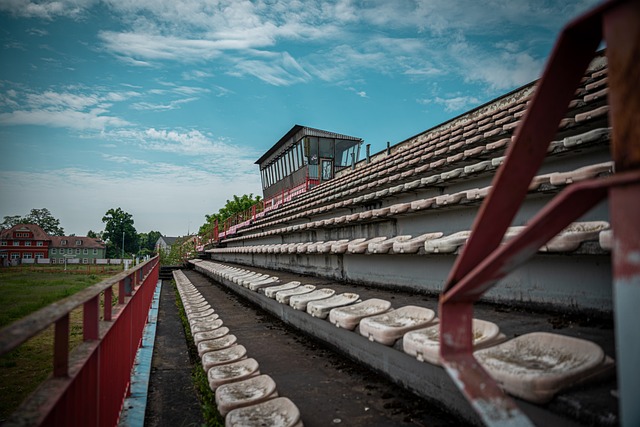 使志愿服务 使志愿服务