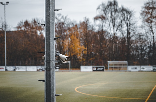 这一趋势还 这一趋势还