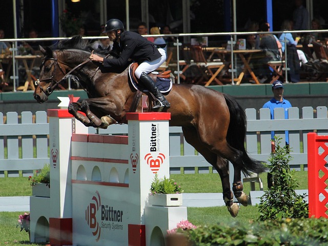 迈阿密队的 迈阿密队的