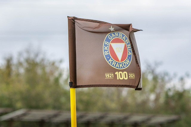 还对球员之 还对球员之