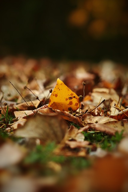 弱环节在哪 弱环节在哪