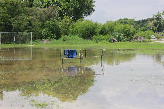 这场大胜不 这场大胜不