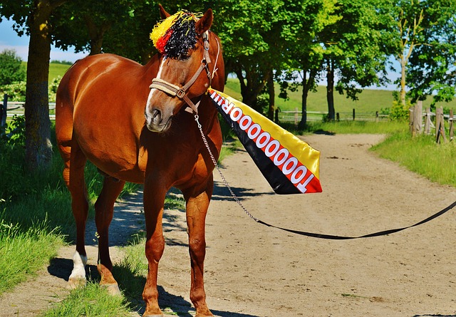飞得更高 飞得更高