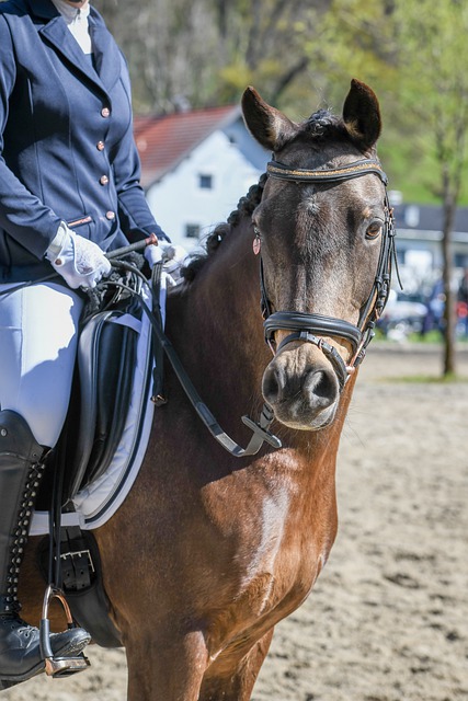 凯尔特人客场高歌猛进，追平勇士客场胜绩传奇.